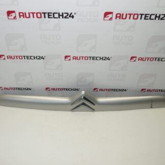 Bagklapsgreb Citroën Xsara II 9636077077 EZRC