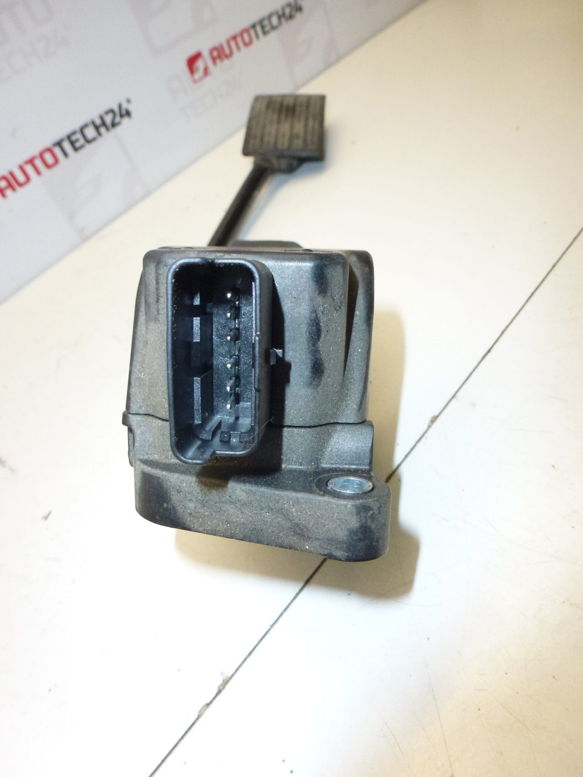 Gaspedal Citroën Peugeot Bosch 0280755159 9686212980 1601EP