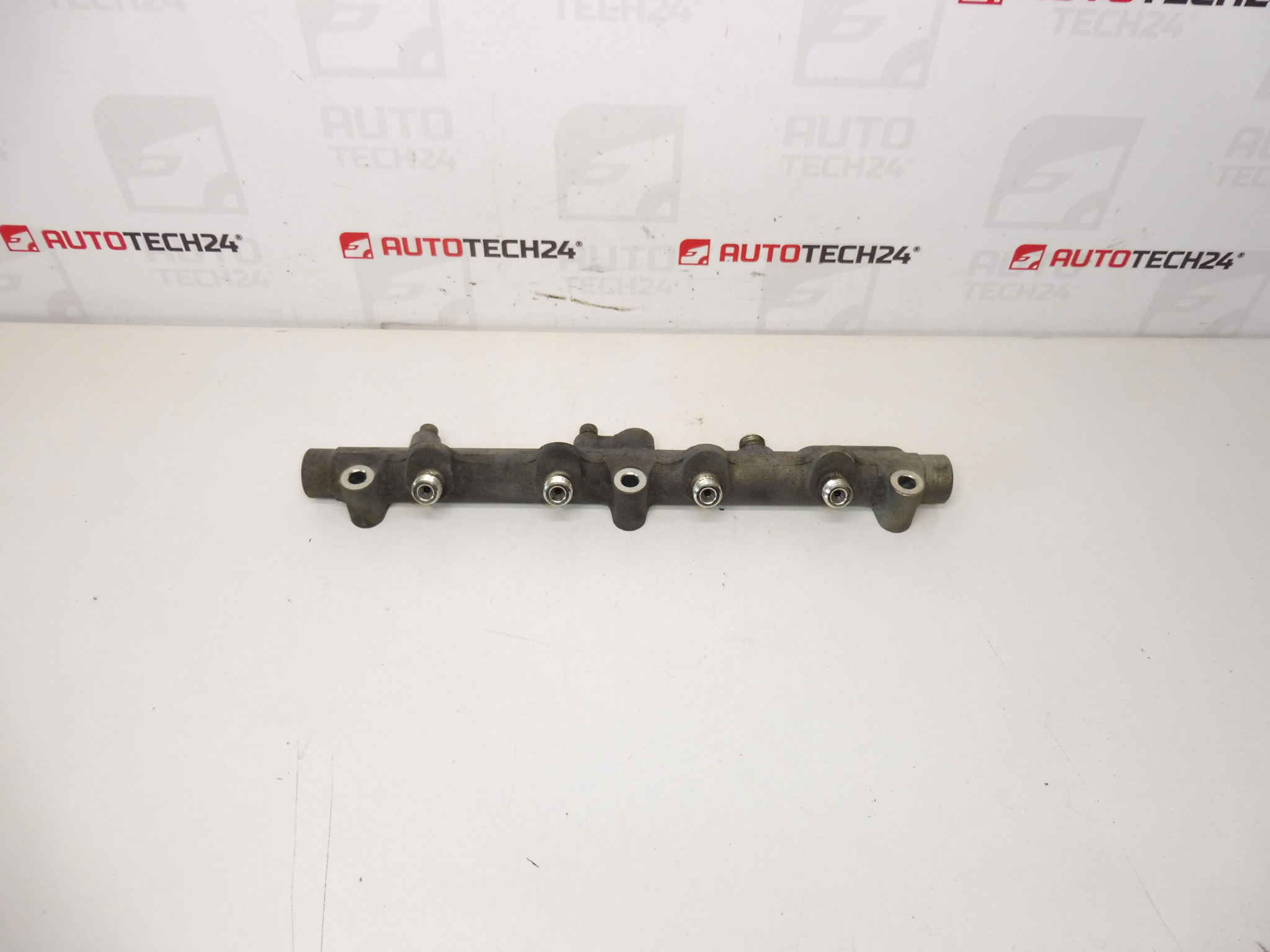 Skinne SKINNE Bosch Citroën Peugeot 0445214017 1570A0