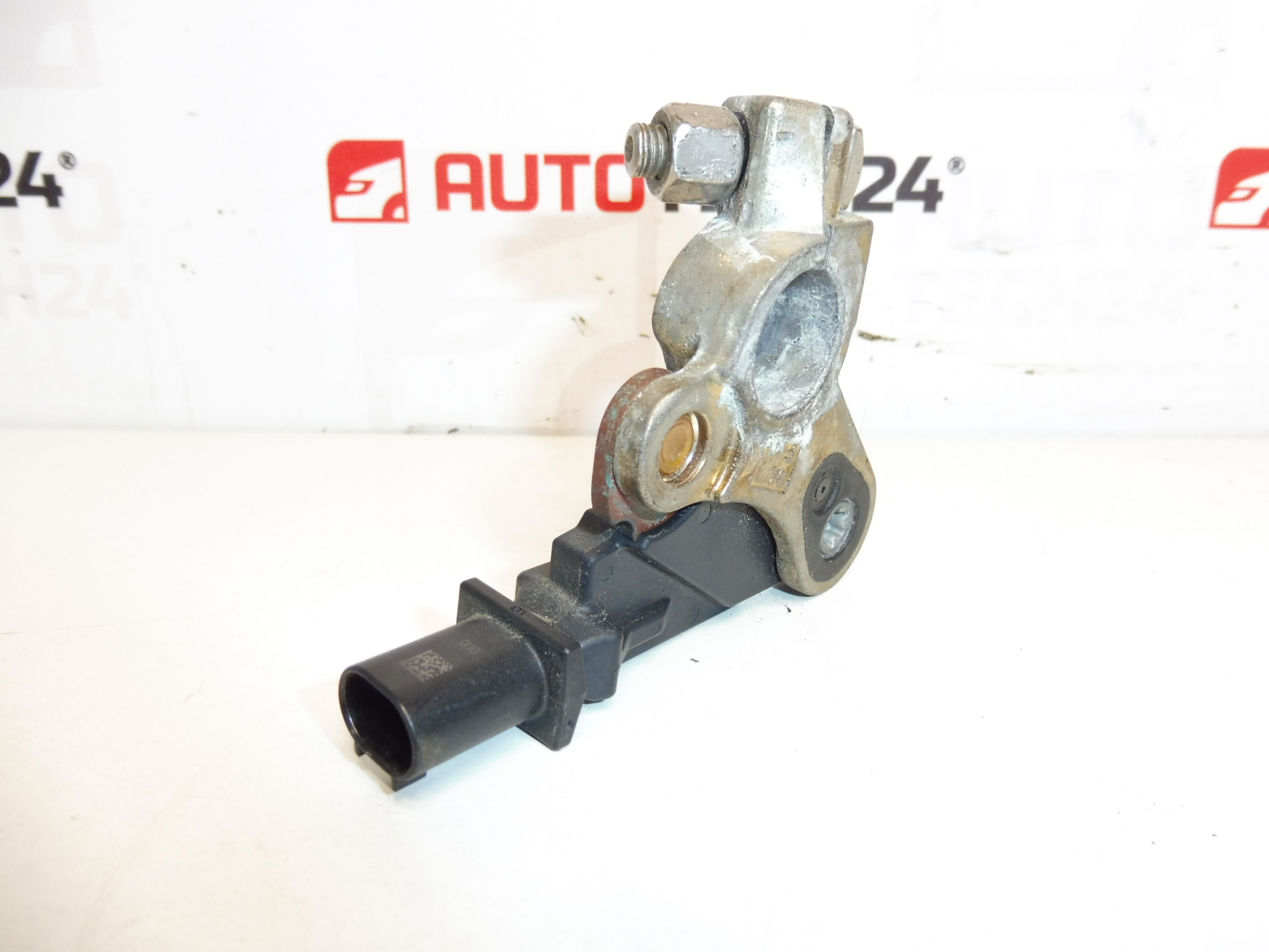 Citroën Peugeot batteriopladningsenhed 9667109380 9802043480 6500KS