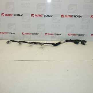 Injektorsele DELPHI Citroën Peugeot 2.0 HDI 9662908580 6569Y5