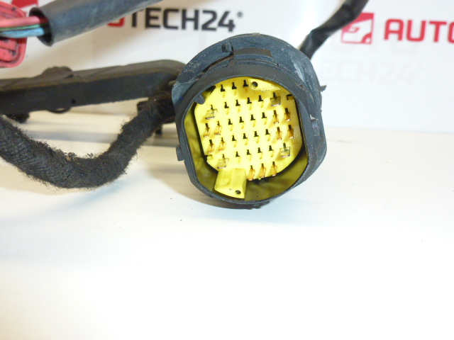 Injektorsamling Citroën Peugeot 1.4HDI 9649833780 9688063580 6558PS