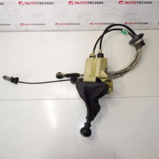 Baggrunden og skiftet af 6 hastigheder Citroën Peugeot 2400P7 2444x8 241059