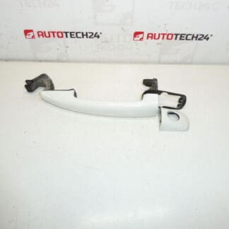 Citroën Peugeot Grassmark Gray EWPB 9101GF