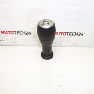 Hoveder Sensodrive Citroën Peugeot 2403Z2