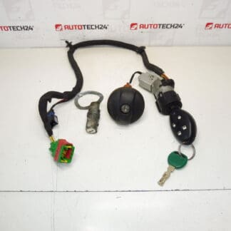 Sæt af låse og Citroën C8 + 1 Switch Box 4162Y4 4162Y2