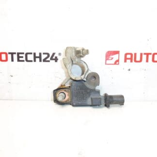 Citroën Peugeot 9666919780 Negativ poleenhed