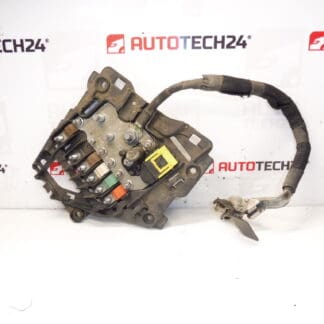 Citroën Peugeot 9675123880 Sikringsmodul