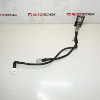 Et positivt bundt til batteriet Citroën Peugeot 1612229980