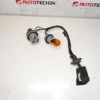 Pære kabbaging baglampe