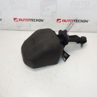 Bagsædesele Citroen C3 II A51 DS3 98019948XX