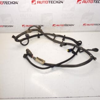 PDC sele bag Citroen C4 Picasso 9659517080 6575Y4