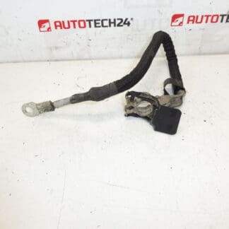 Tilslutningskabel + pol i Peugeot motor 9674808180 564621