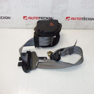 Bageste sikkerhedssele Citroën C5 II 96325577GW 8974W5