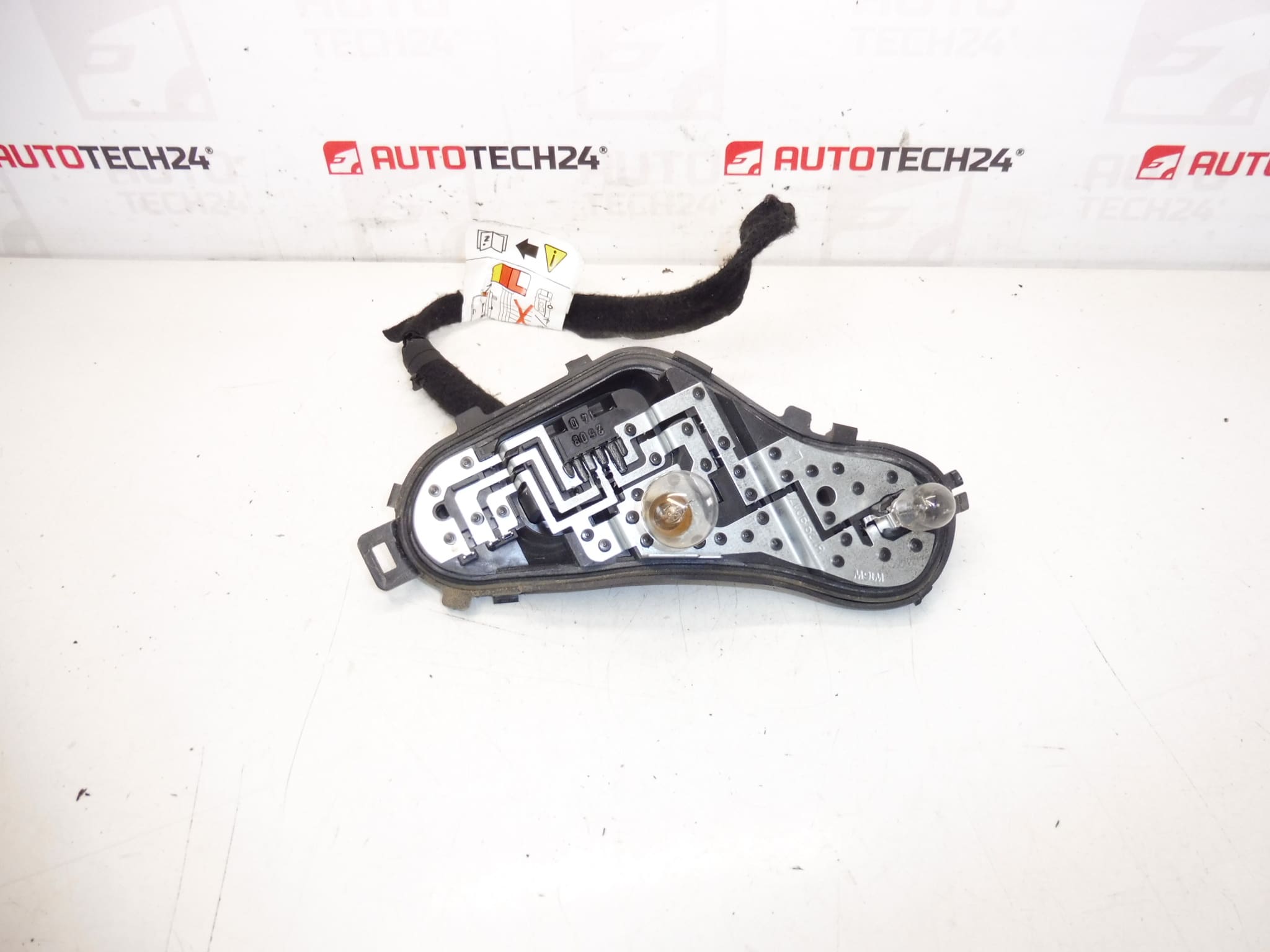 Peugeot 3008 pærefatning 9805510580