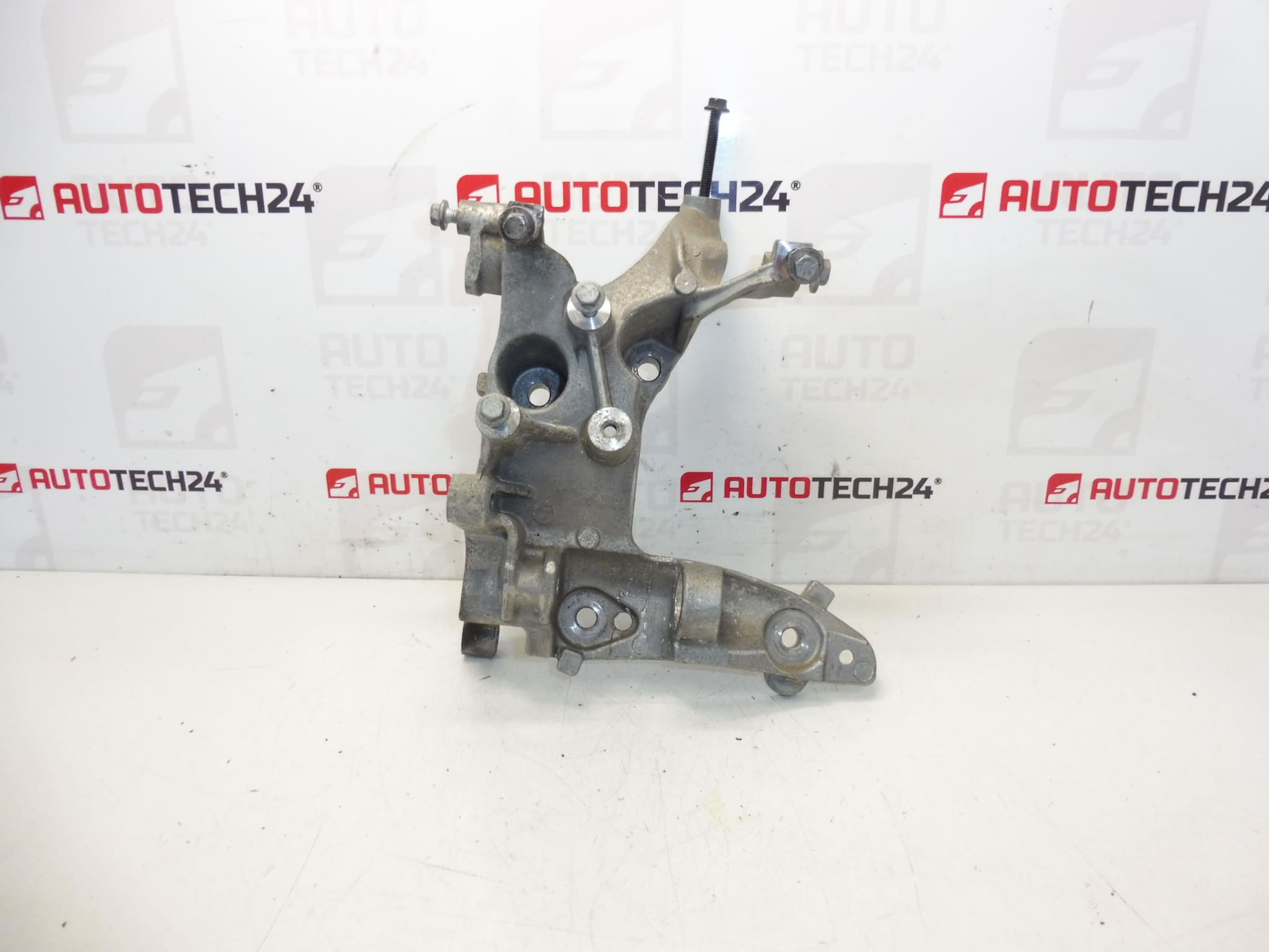 Generatorholder Citroën Peugeot 9684613880 5706N9