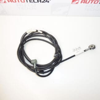 Antenn ledningsnet Citroen C1 Peugeot 107 86101-0H020 B000699880