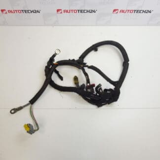 Batteripluskabel Citroën Peugeot 2.0 16V 9655329880 9661639980 5642GF